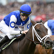 Tepin