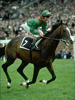Shergar at Ascot Shergar at Ascot
