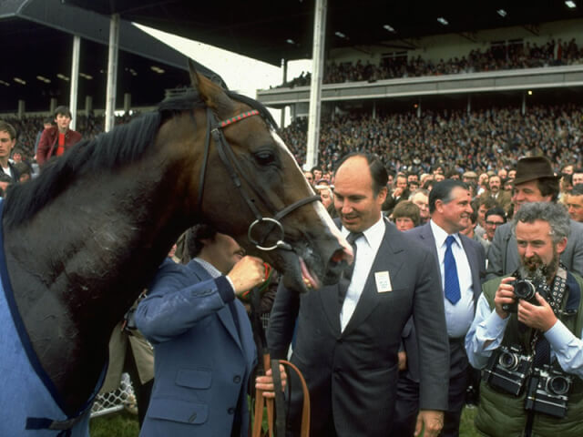 Shergar after winning the Irish Derby Shergar after winning the Irish Derby