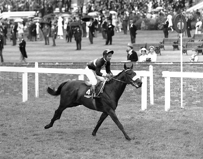 Mill Reef wins the Coventry Stakes, Royal Ascot Mill Reef wins the Coventry Stakes, Royal Ascot