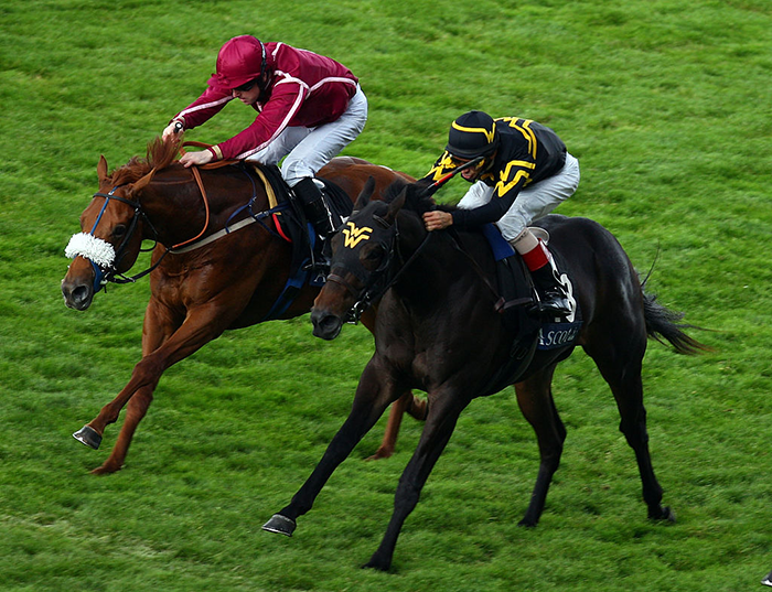 Strike The Tiger, Royal Ascot Strike The Tiger, Royal Ascot