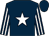 Dark blue, white star, striped sleeves (Excel Racing (another Batt))