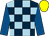 Dark blue and light blue check, royal blue sleeves, yellow cap (Mr Adrian Hosie)