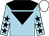 LIGHT BLUE, black yoke, black inverted triangle, stars on sleeves, WHITE cap (The Harefield Racing Club)